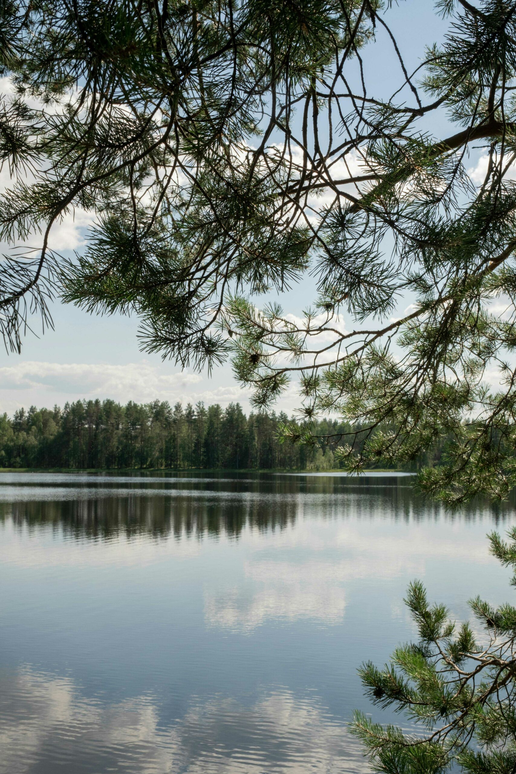 aukstaitija
