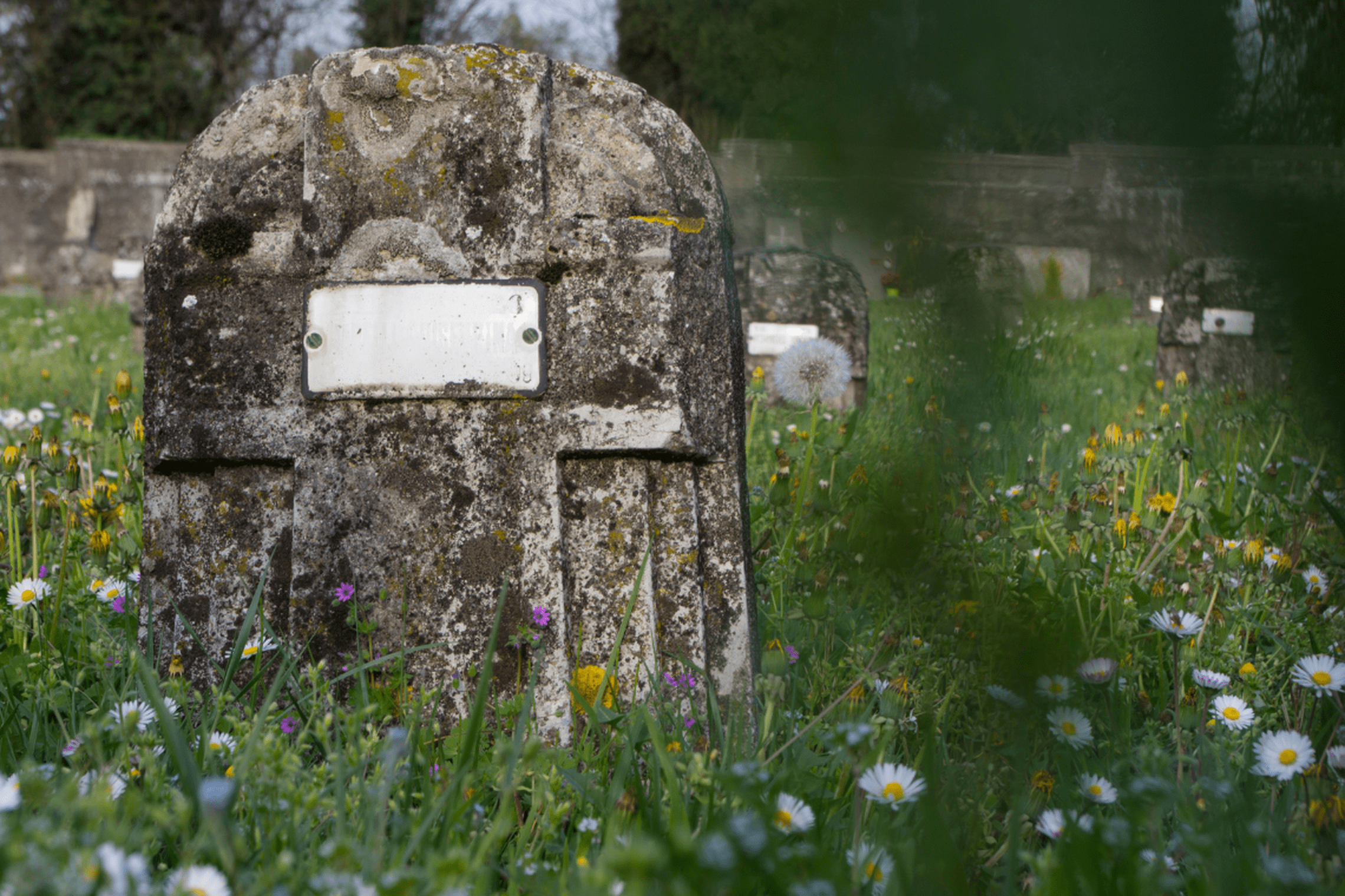 nepriziurimos kapavietes