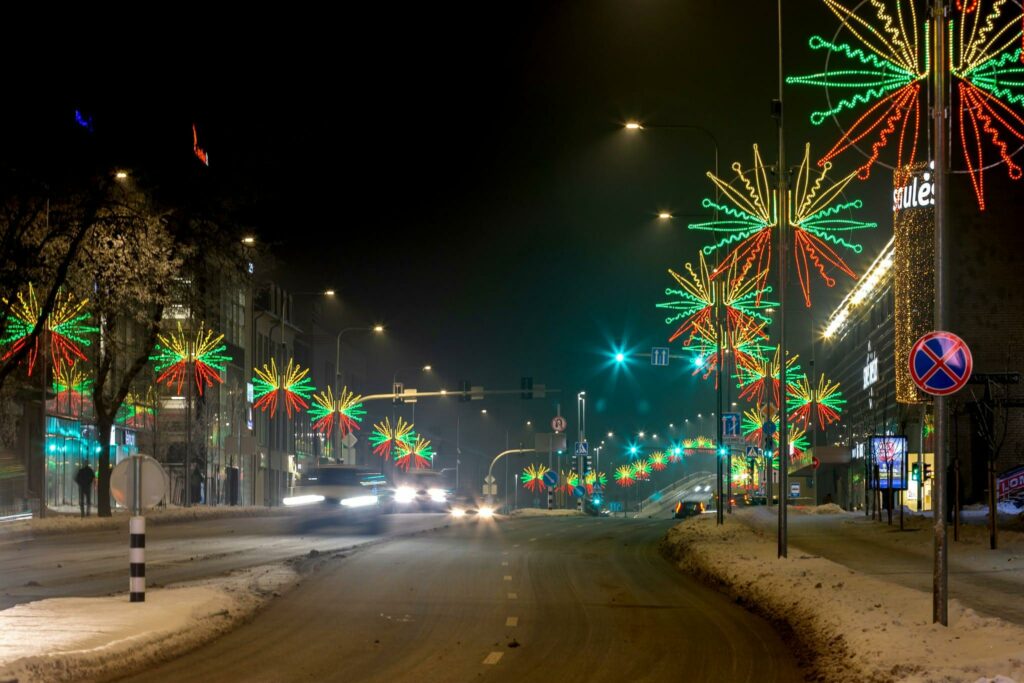 Sauliaus Jankausko nuotr. 